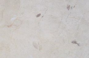 Particolare Boiserie